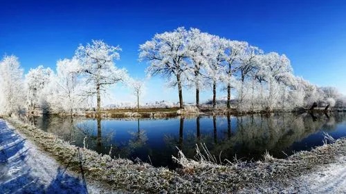 事业风水大揭秘：如何选择最佳事业风水方位